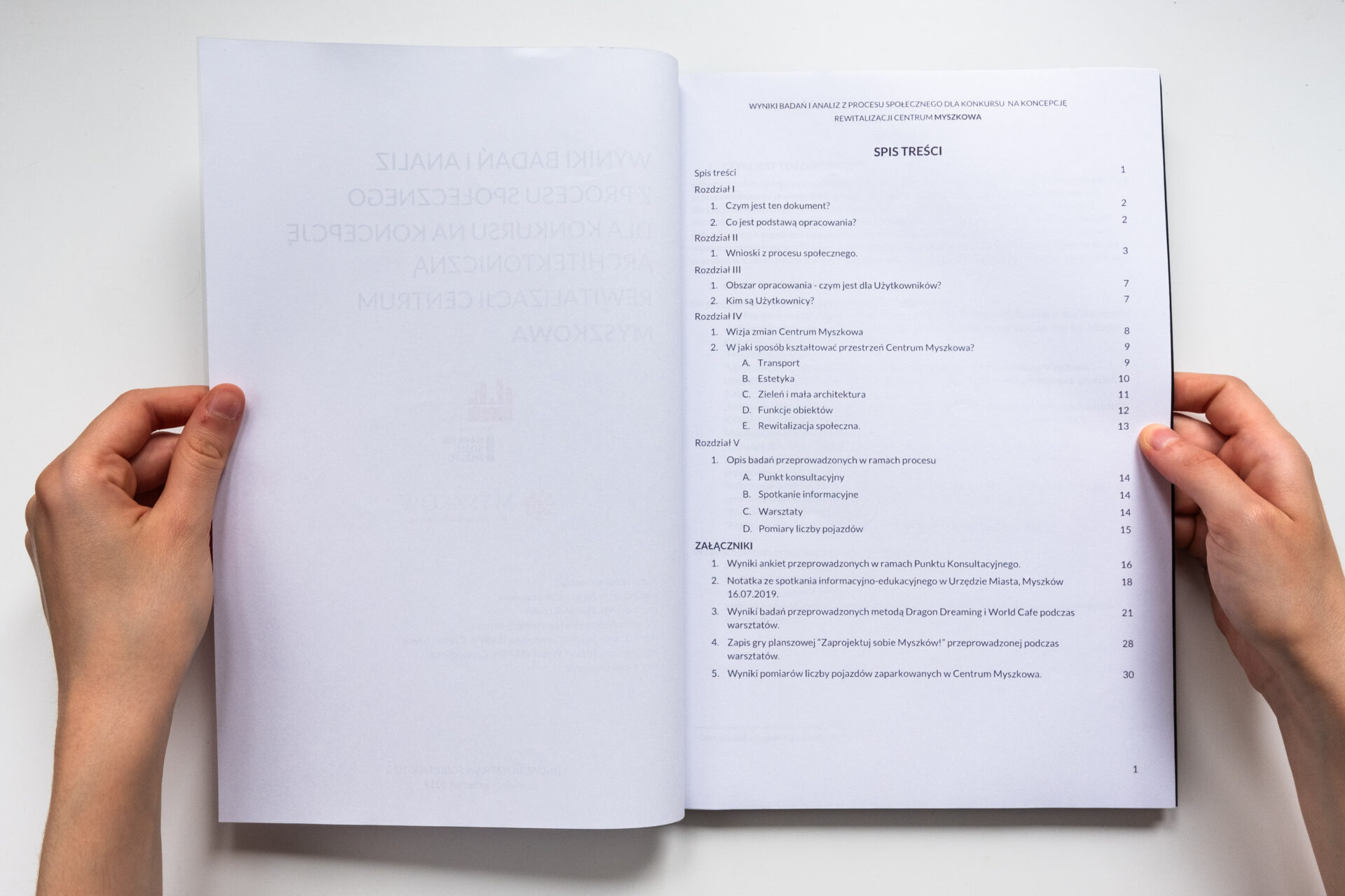 Publikacja Myszków